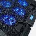 image-3.webp