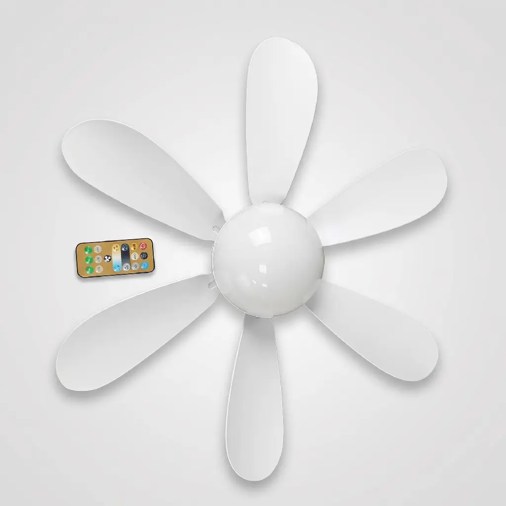 image-2.webp