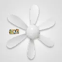 image-2.webp
