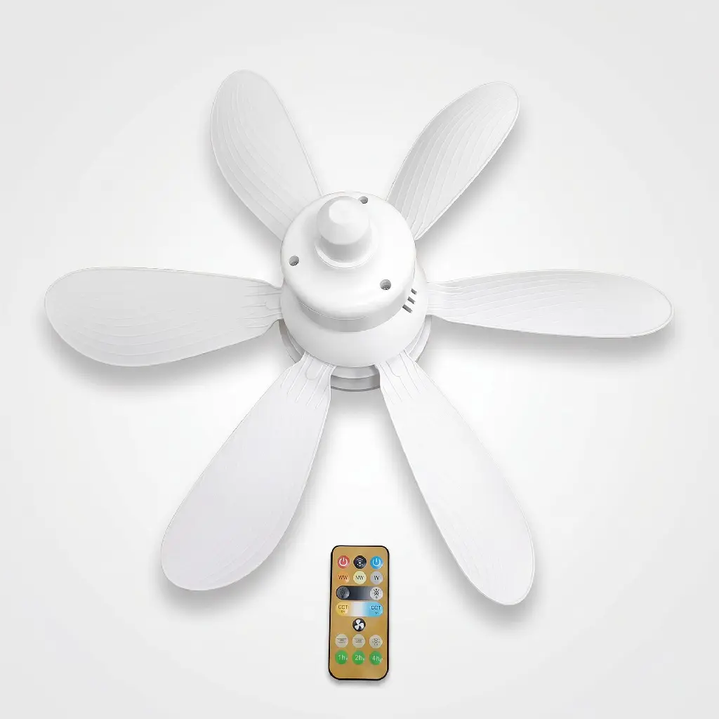 image-3.webp