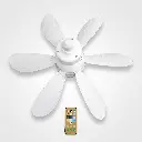 image-3.webp