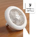 image-4.webp