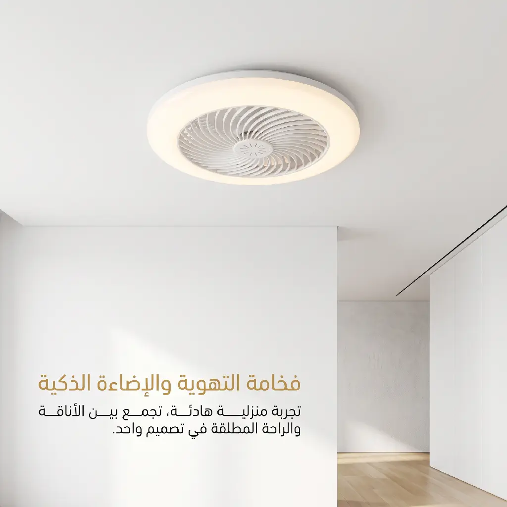 image-3.webp